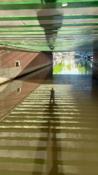 A person's shadow is cast on a green and white striped ceiling as they look out at a body of water from under a bridge or pier